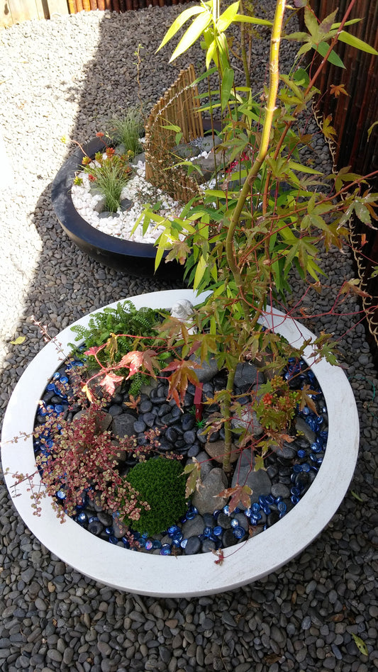 Enchanting Japanese-Themed Garden Design – Tranquility in Your Own Space