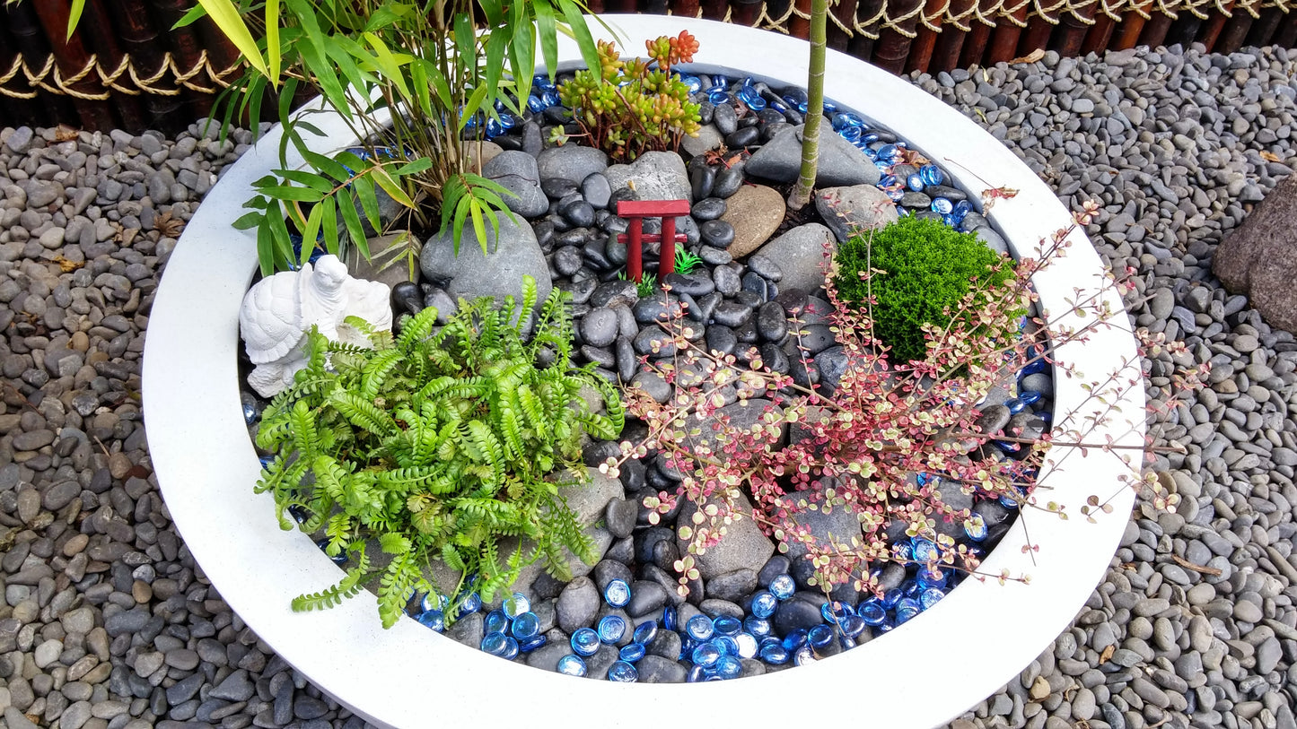 Enchanting Japanese-Themed Garden Design â Tranquility in Your Own Space