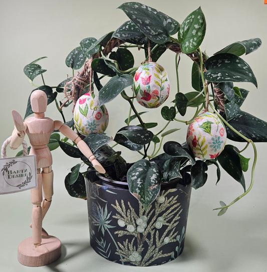 A charming plant with a lush, variegated plant thriving in a rustic burlap-wrapped pot