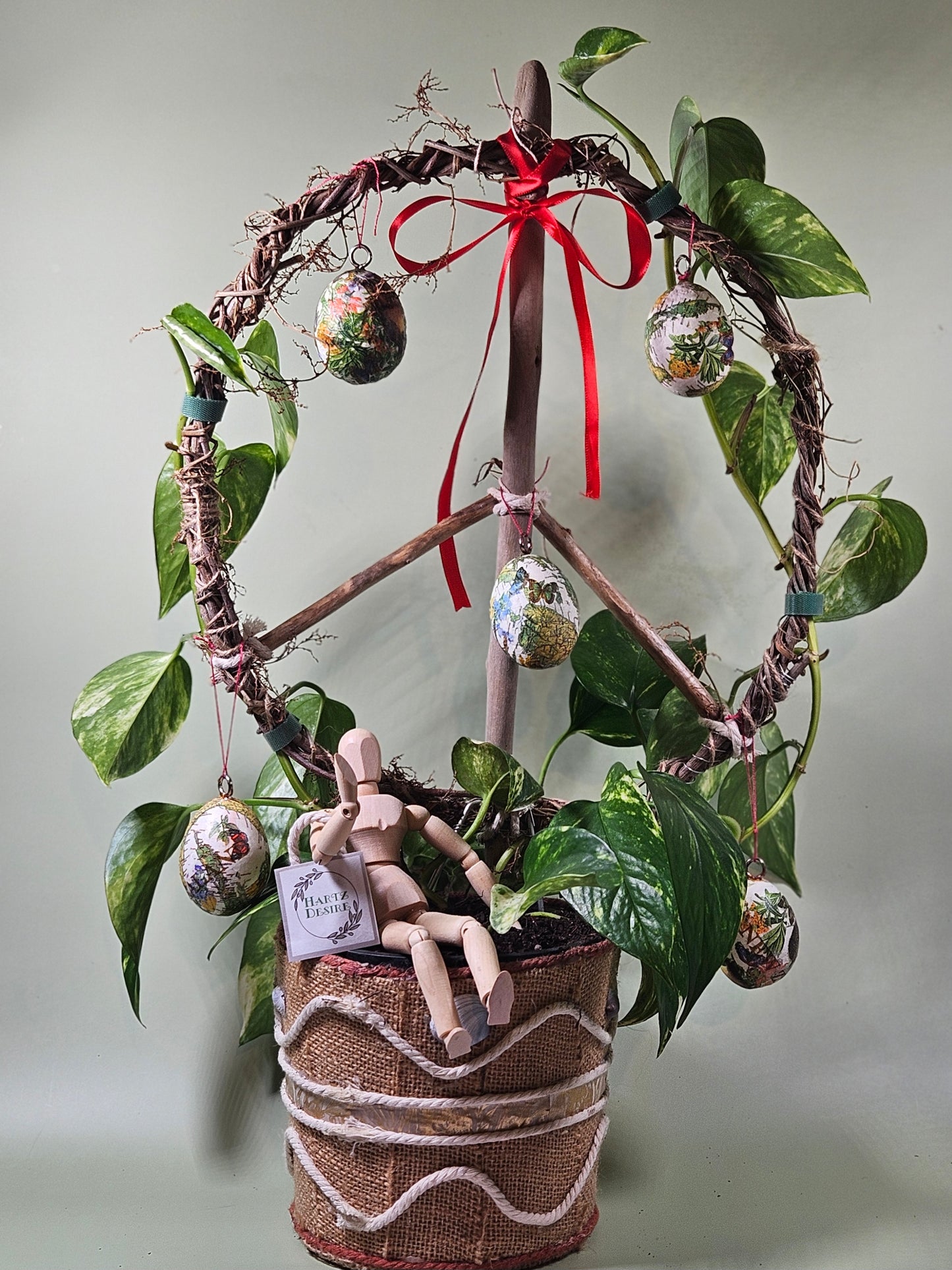 A charming plant with a lush, variegated plant thriving in a rustic burlap-wrapped pot
